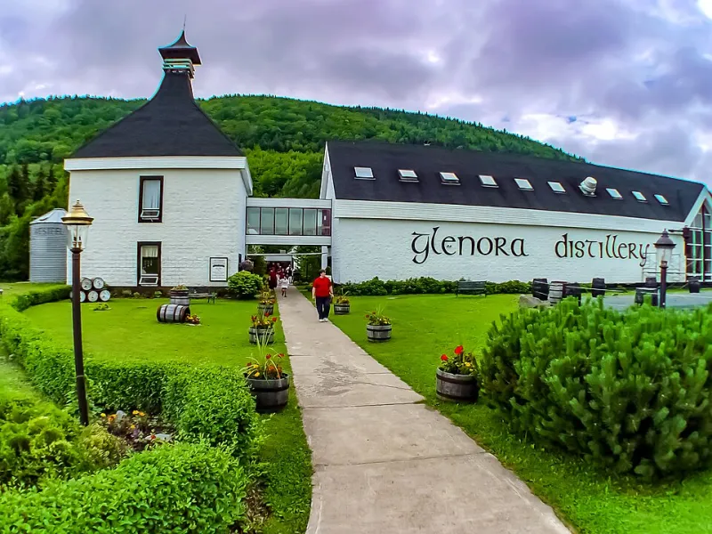 L'or hexagonal : pourquoi les distilleries françaises redéfinissent les règles du whisky de collection