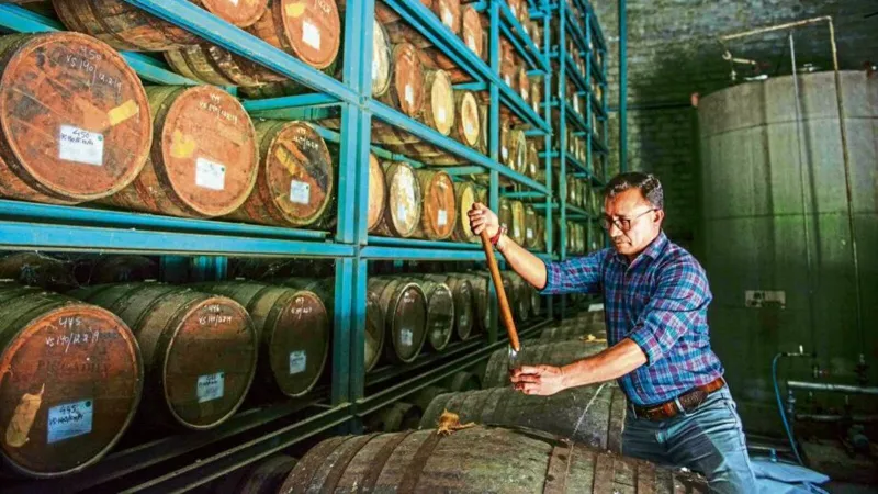Vieillissement sous les tropiques : révolution ou imposture pour le collectionneur de whisky ?